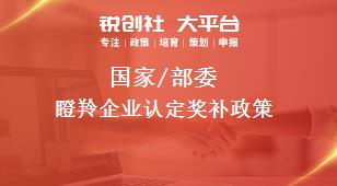 國(guó)家/部委瞪羚企業(yè)認(rèn)定獎(jiǎng)補(bǔ)政策