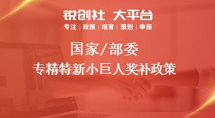 國(guó)家/部委專(zhuān)精特新小巨人獎(jiǎng)補(bǔ)政策