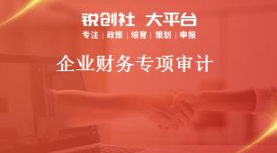 企業(yè)財務(wù)專項審計獎補政策